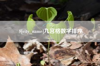 沧县九宫格数字排序