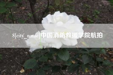 沧县中国消防救援学院航拍