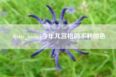 沧县今年九宫格的不利颜色