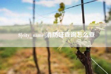 沧县消防证查询怎么查
