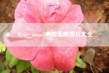 沧县中国金牌图片大全