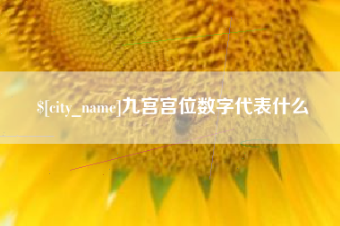沧县九宫宫位数字代表什么