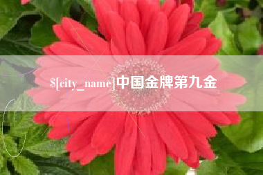 沧县中国金牌第九金