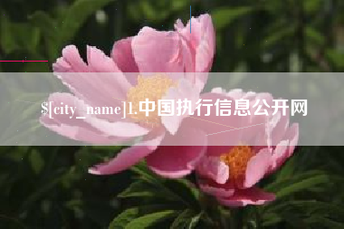 沧县1.中国执行信息公开网