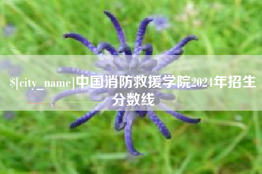 沧县中国消防救援学院2024年招生分数线