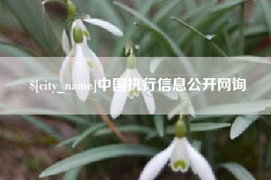 沧县中国执行信息公开网询