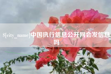 沧县中国执行信息公开网会发信息吗