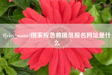 沧县国家应急救援员报名网址是什么