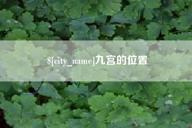 沧县九宫的位置