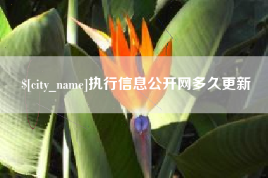 沧县执行信息公开网多久更新