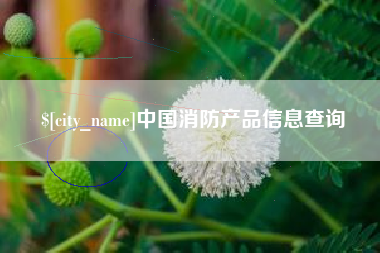 沧县中国消防产品信息查询