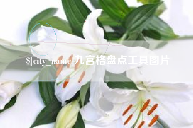 沧县九宫格盘点工具图片