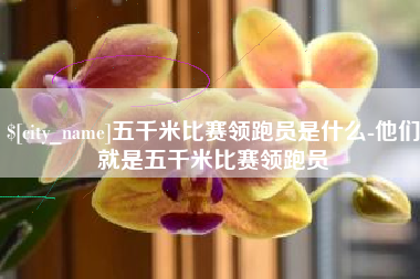 沧县五千米比赛领跑员是什么-他们就是五千米比赛领跑员