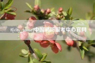 沧县中国消防报考中心官网