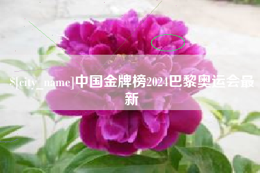 沧县中国金牌榜2024巴黎奥运会最新