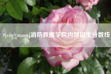 沧县消防救援学院内部招生分数线