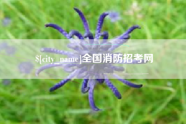 沧县全国消防招考网