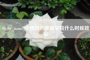 沧县中国消防救援学院什么时候政审