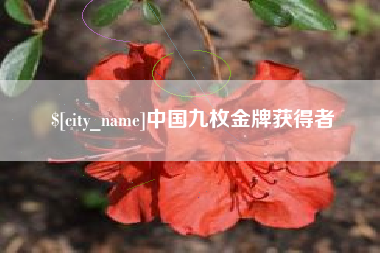 沧县中国九枚金牌获得者