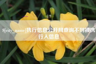 沧县执行信息公开网查询不到被执行人信息