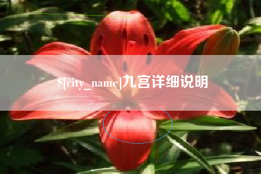 沧县九宫详细说明