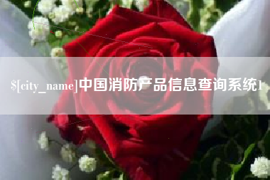 沧县中国消防产品信息查询系统1