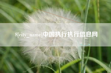沧县中国执行执行信息网