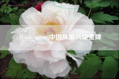 沧县中国队第八块金牌