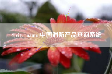 沧县中国消防产品查询系统