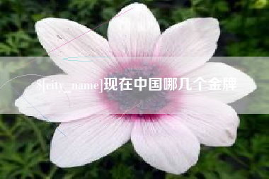 沧县现在中国哪几个金牌