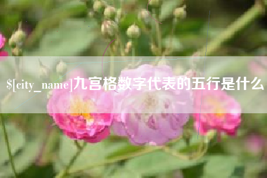 沧县九宫格数字代表的五行是什么