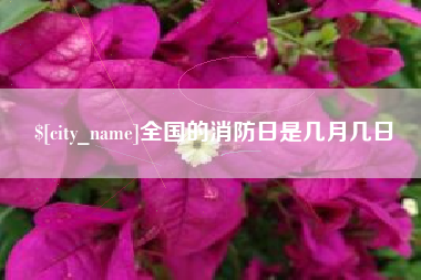 沧县全国的消防日是几月几日