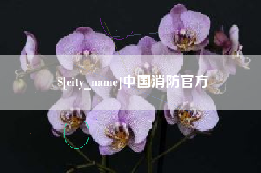 沧县中国消防官方