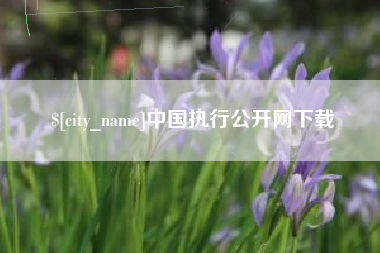 沧县中国执行公开网下载