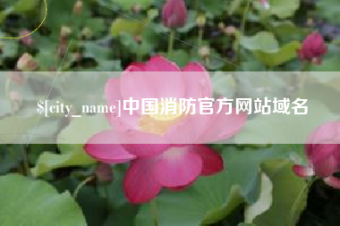 沧县中国消防官方网站域名