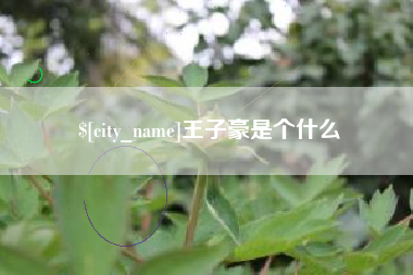 沧县王子豪是个什么