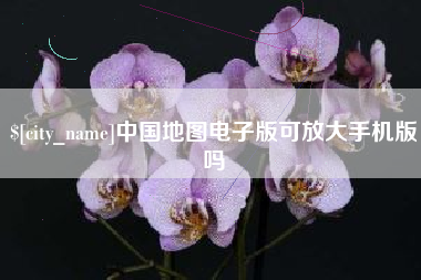 沧县中国地图电子版可放大手机版吗