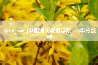 沧县中国消防救援学院2020年分数线