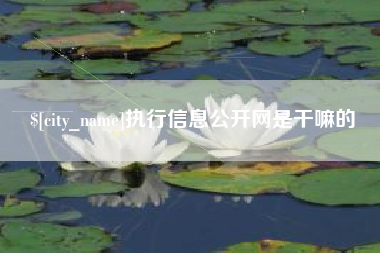 沧县执行信息公开网是干嘛的