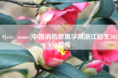 沧县中国消防救援学院浙江招生2020分数线