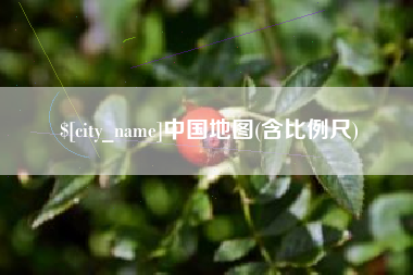 沧县中国地图(含比例尺)