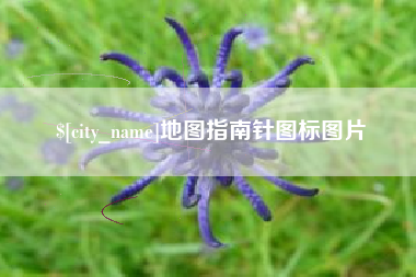 沧县地图指南针图标图片