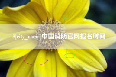 沧县中国消防官网报名时间