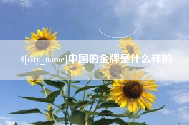 沧县中国的金牌是什么样的