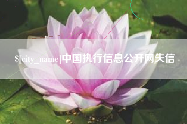 沧县中国执行信息公开网失信
