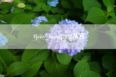沧县2022九宫