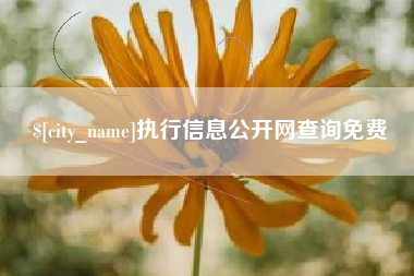 沧县执行信息公开网查询免费