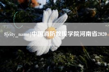 沧县中国消防救援学院河南省2020